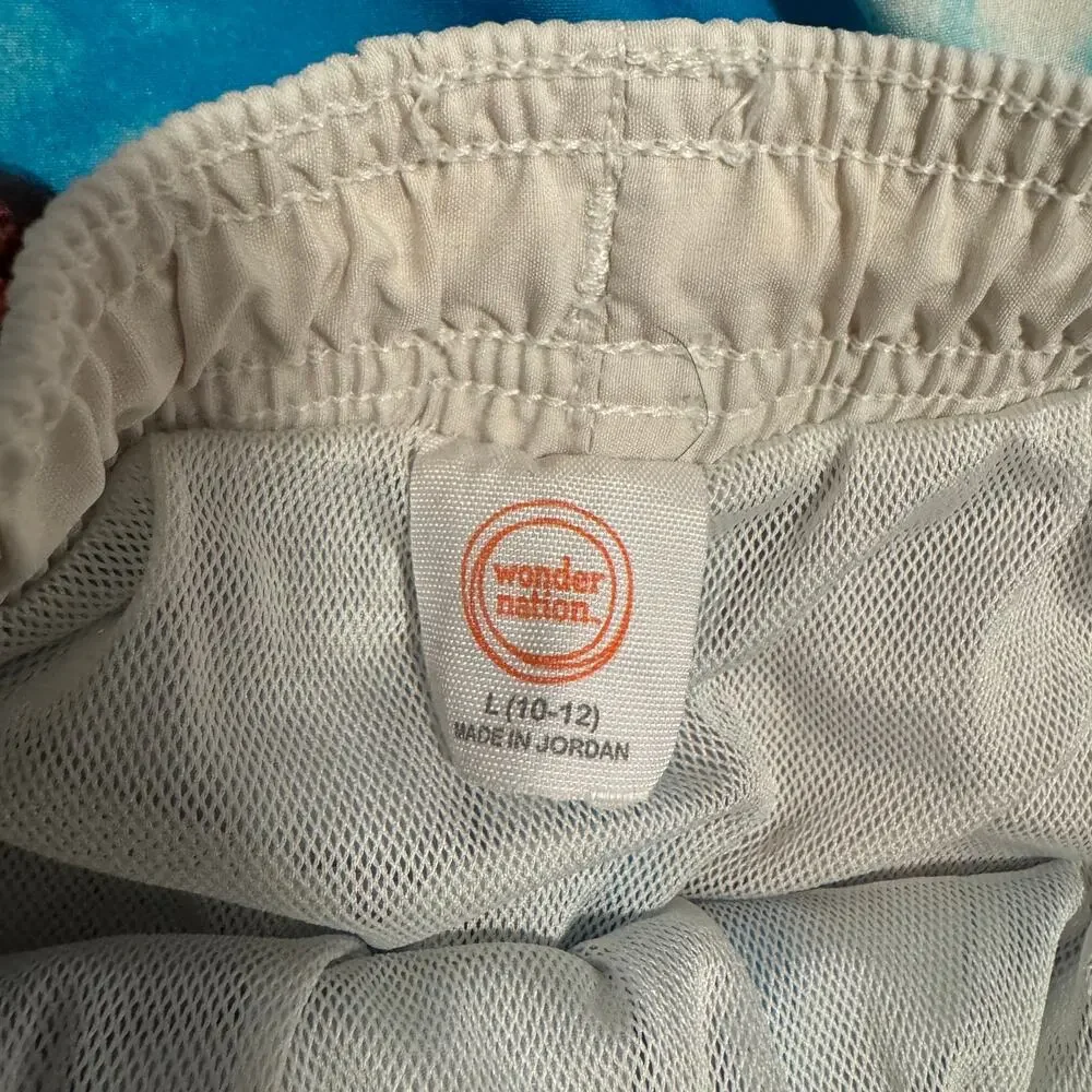Lot of 2 Boys Swim Trunks Wonder Nation L 10-12 Dinosaur Surf Boards Twins